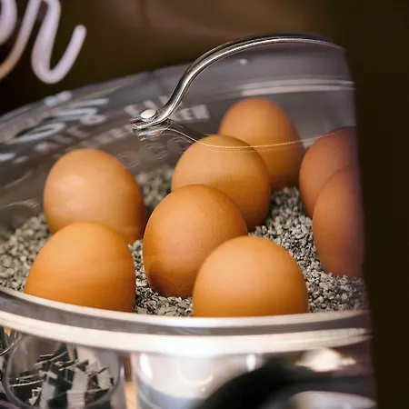 فندق مبيت وإفطار روسينهايم